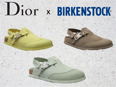 dior birkenstock proce|Dior Birkenstock women.